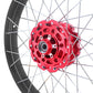 VMX Red Hub & Black Rim Tubeless Wheels Fit Honda XL750 Transalp 2023-2024 21in. & 18in.